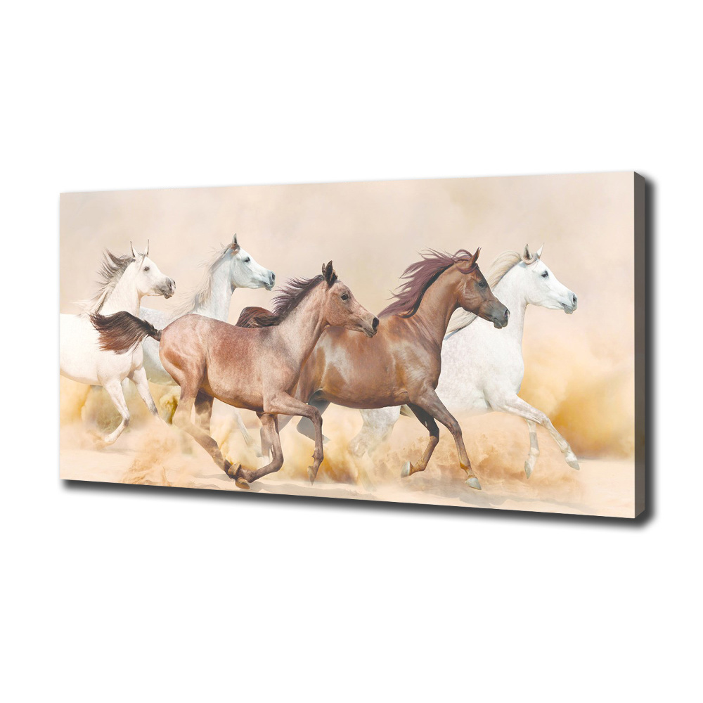 Tableau photo sur toile Chevaux au galop