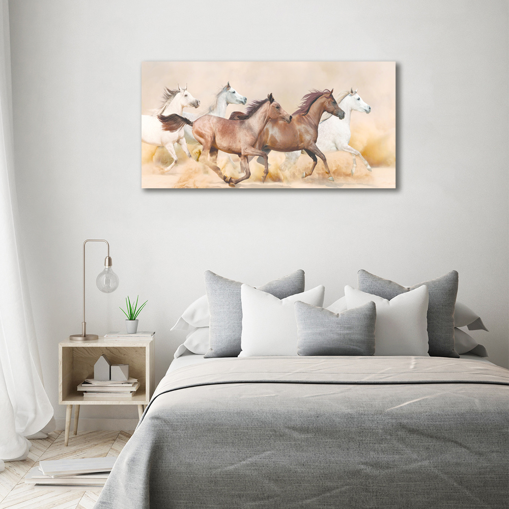 Tableau photo sur toile Chevaux au galop