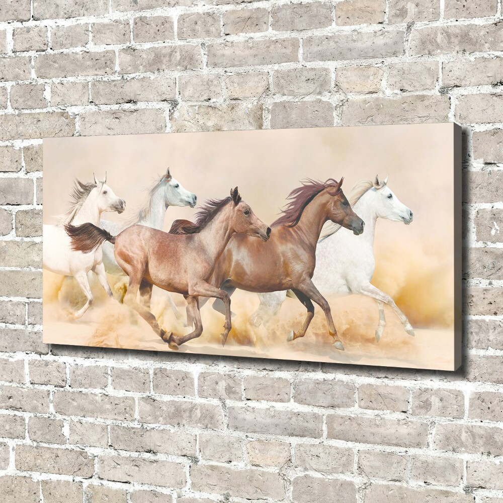 Tableau photo sur toile Chevaux au galop