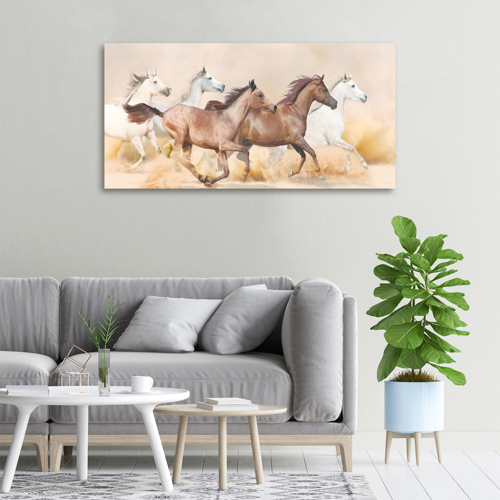 Tableau photo sur toile Chevaux au galop