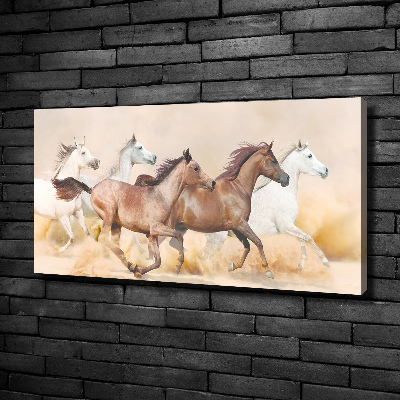 Tableau photo sur toile Chevaux au galop