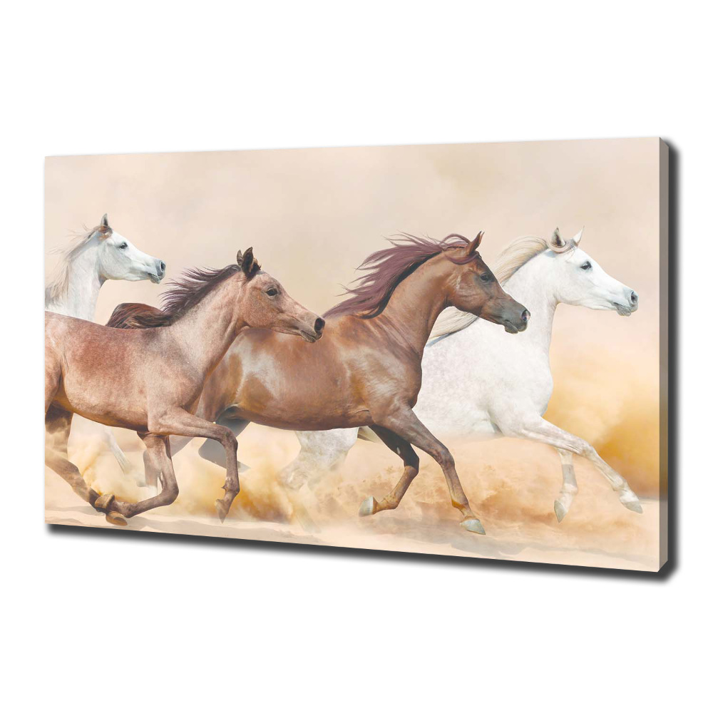 Tableau photo sur toile Chevaux au galop