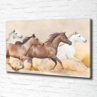 Tableau photo sur toile Chevaux au galop