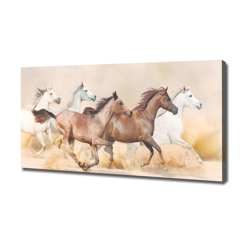 Tableau photo sur toile Chevaux au galop