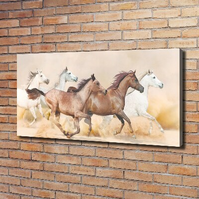 Tableau photo sur toile Chevaux au galop