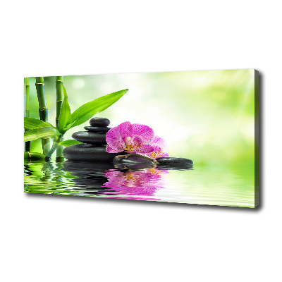 Tableau sur toile Orchidées plantes