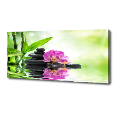 Tableau sur toile Orchidées plantes