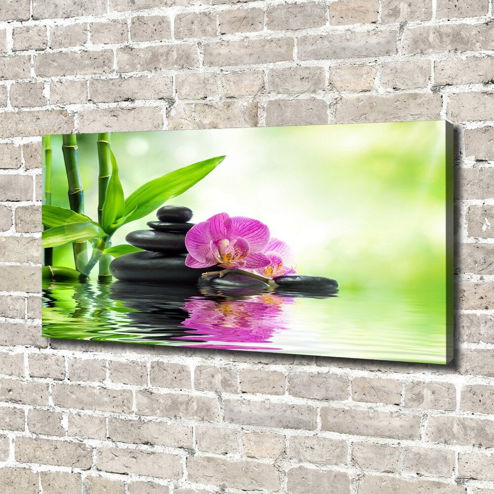 Tableau sur toile Orchidées plantes