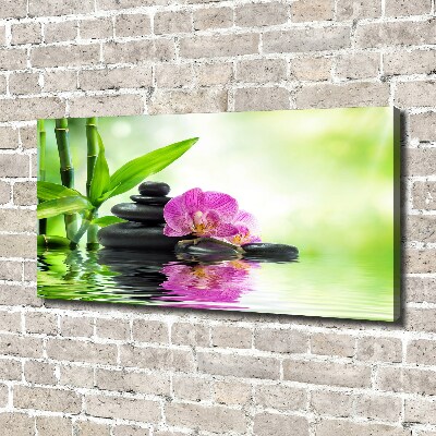 Tableau sur toile Orchidées plantes