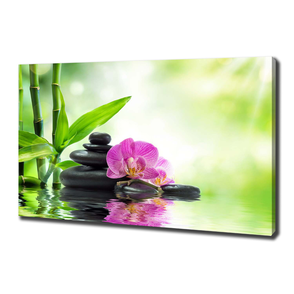 Tableau sur toile Orchidées plantes