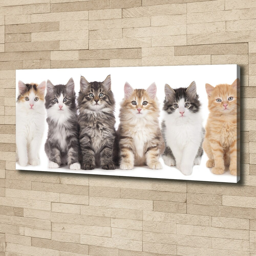 Tableau toile imprimée Six chats