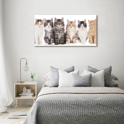 Tableau toile imprimée Six chats