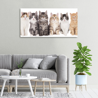 Tableau toile imprimée Six chats