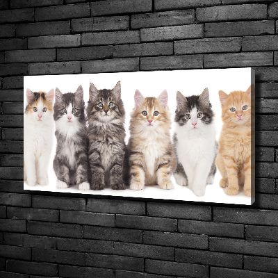 Tableau toile imprimée Six chats