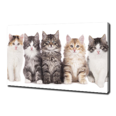 Tableau toile imprimée Six chats