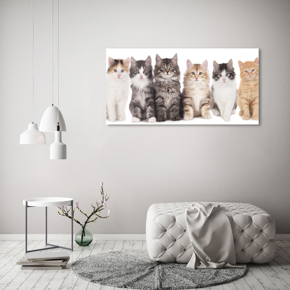 Tableau toile imprimée Six chats