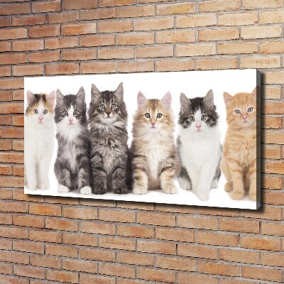 Tableau toile imprimée Six chats