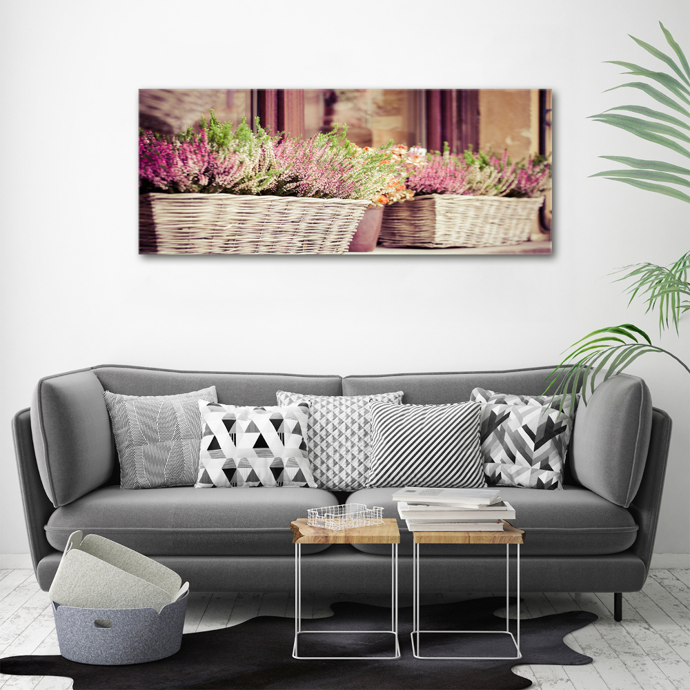 Tableau photo sur toile Lavande en pot