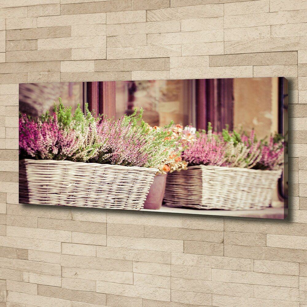 Tableau photo sur toile Lavande en pot