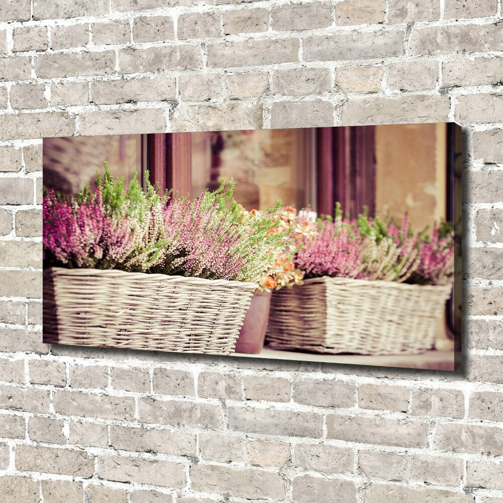 Tableau photo sur toile Lavande en pot