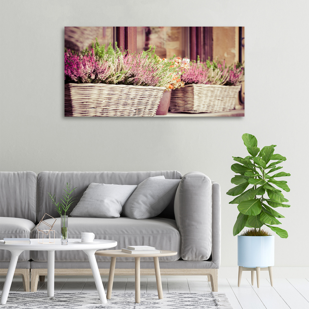 Tableau photo sur toile Lavande en pot