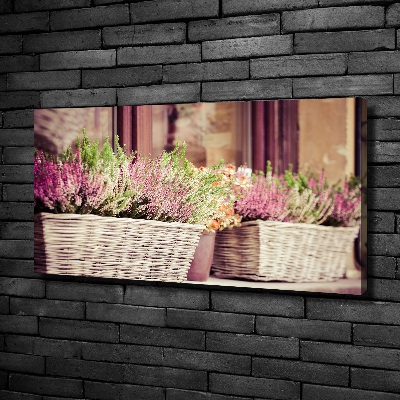 Tableau photo sur toile Lavande en pot