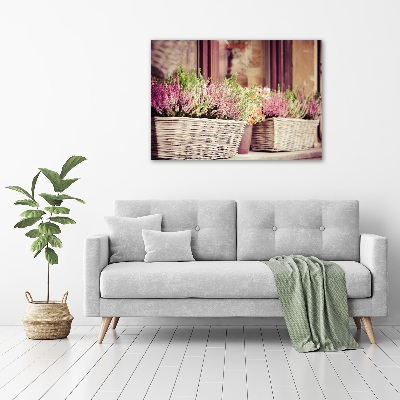 Tableau photo sur toile Lavande en pot