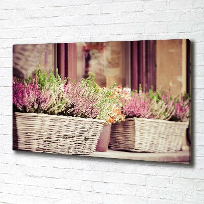 Tableau photo sur toile Lavande en pot