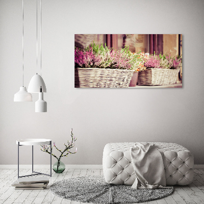 Tableau photo sur toile Lavande en pot