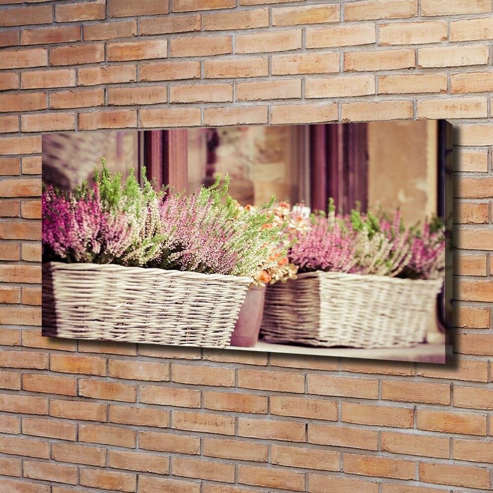 Tableau photo sur toile Lavande en pot