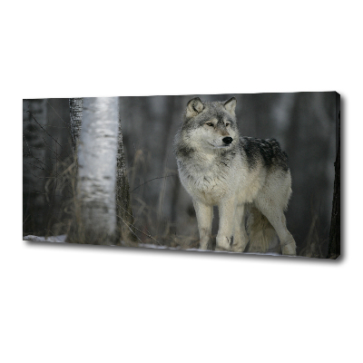 Tableau imprimé sur toile Loup gris