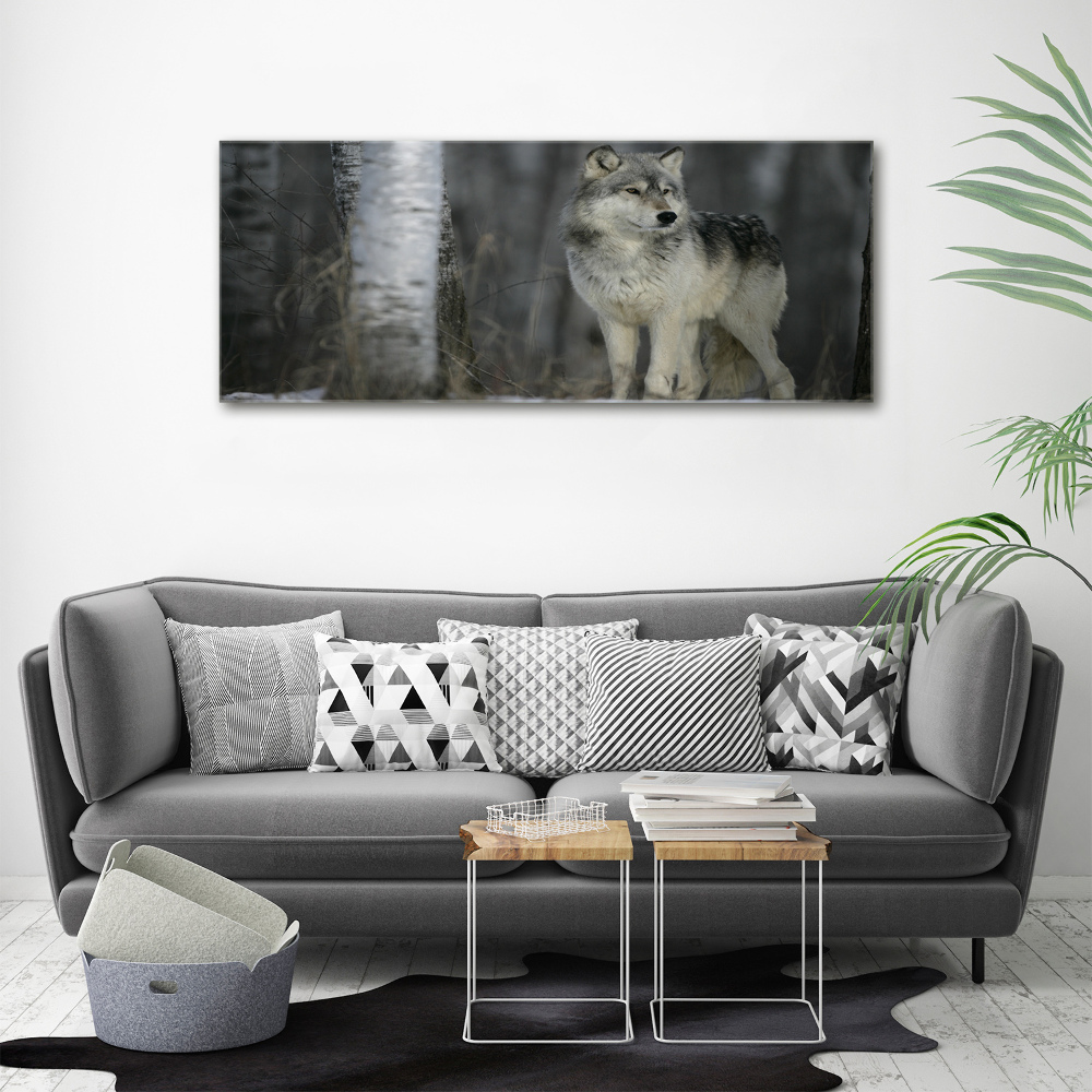 Tableau imprimé sur toile Loup gris