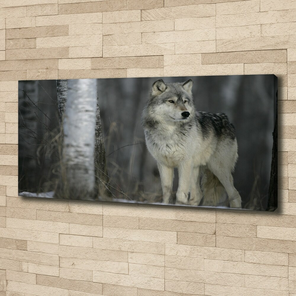 Tableau imprimé sur toile Loup gris