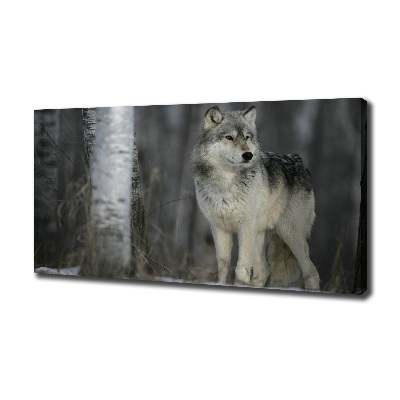 Tableau imprimé sur toile Loup gris