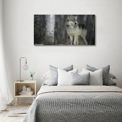 Tableau imprimé sur toile Loup gris