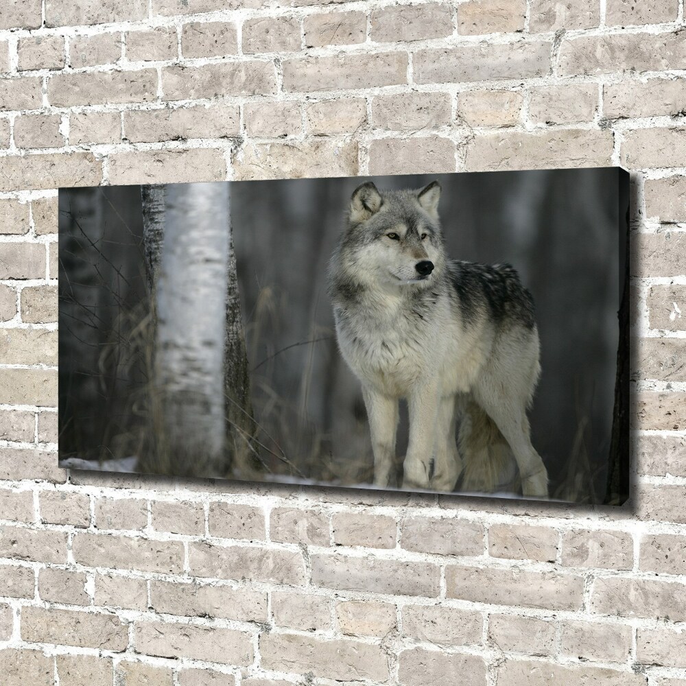 Tableau imprimé sur toile Loup gris