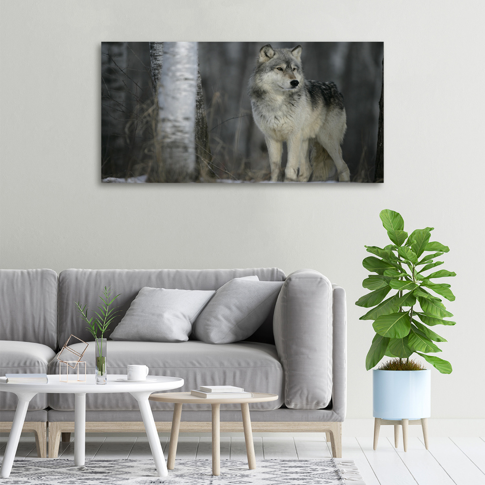 Tableau imprimé sur toile Loup gris