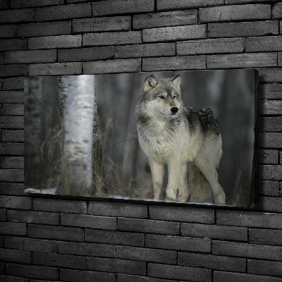 Tableau imprimé sur toile Loup gris