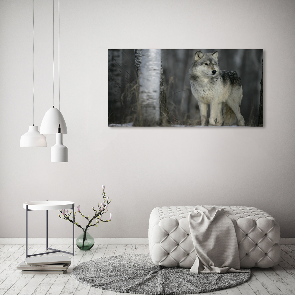 Tableau imprimé sur toile Loup gris