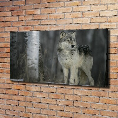 Tableau imprimé sur toile Loup gris