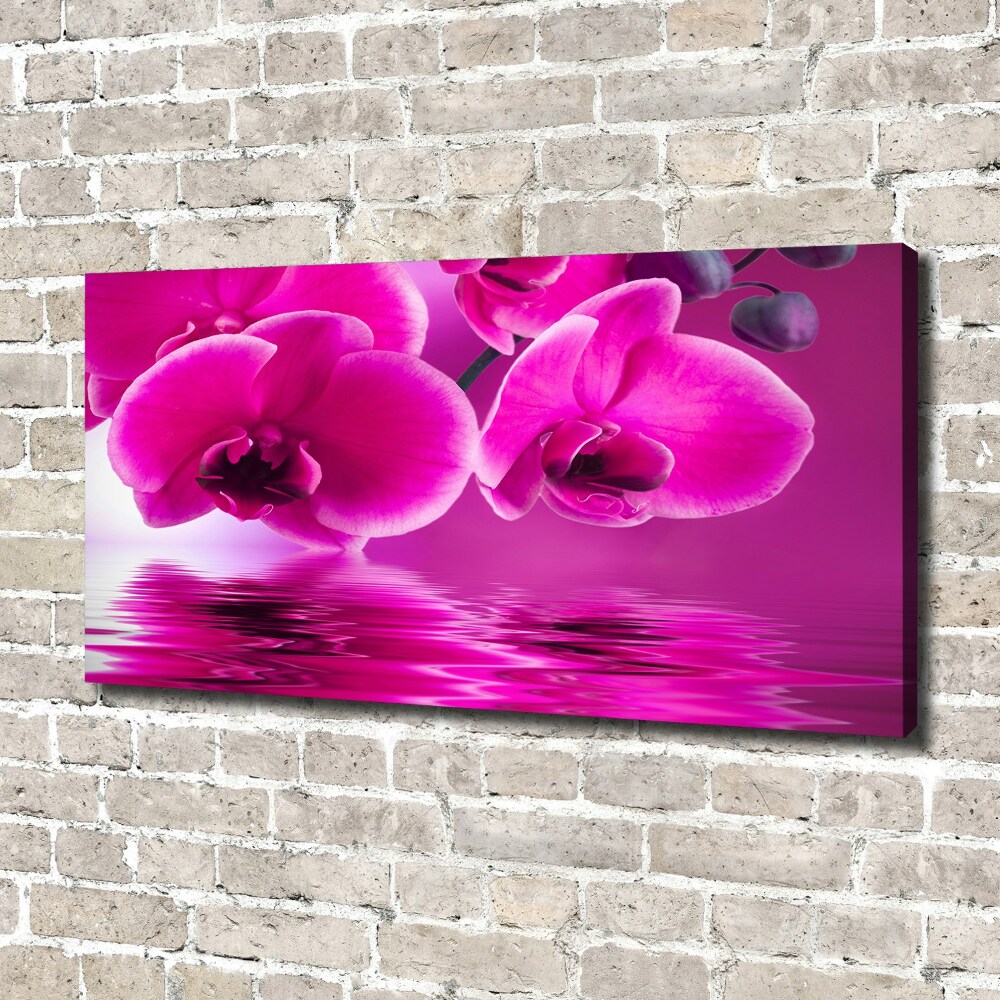 Tableau toile imprimée Fleur d'orchidée