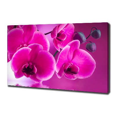 Tableau toile imprimée Fleur d'orchidée