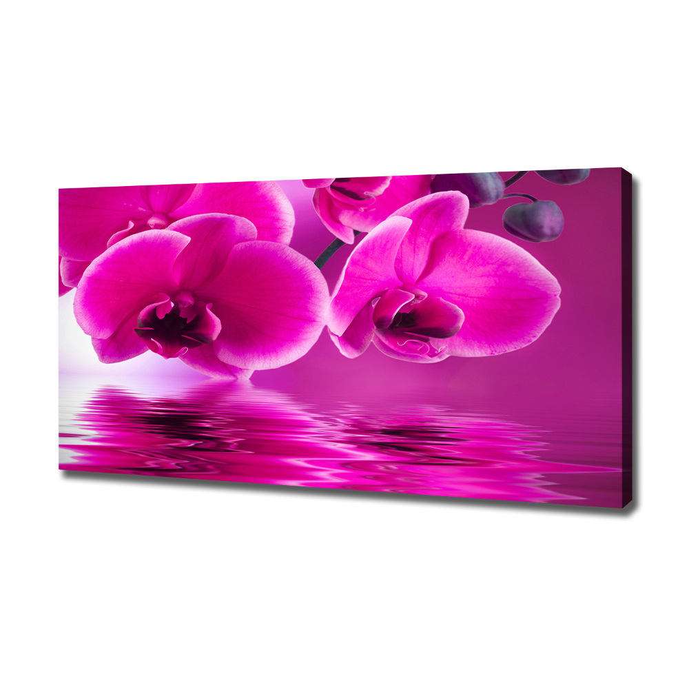 Tableau toile imprimée Fleur d'orchidée