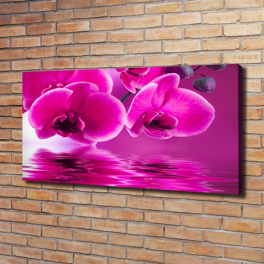 Tableau toile imprimée Fleur d'orchidée