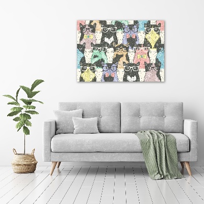 Tableau sur toile Chats avec lunettes