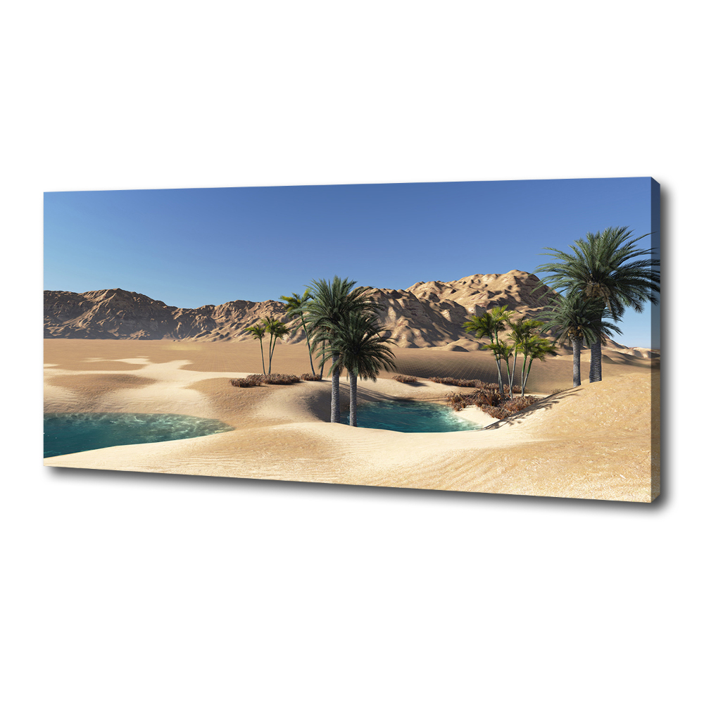 Tableau photo sur toile Oasis