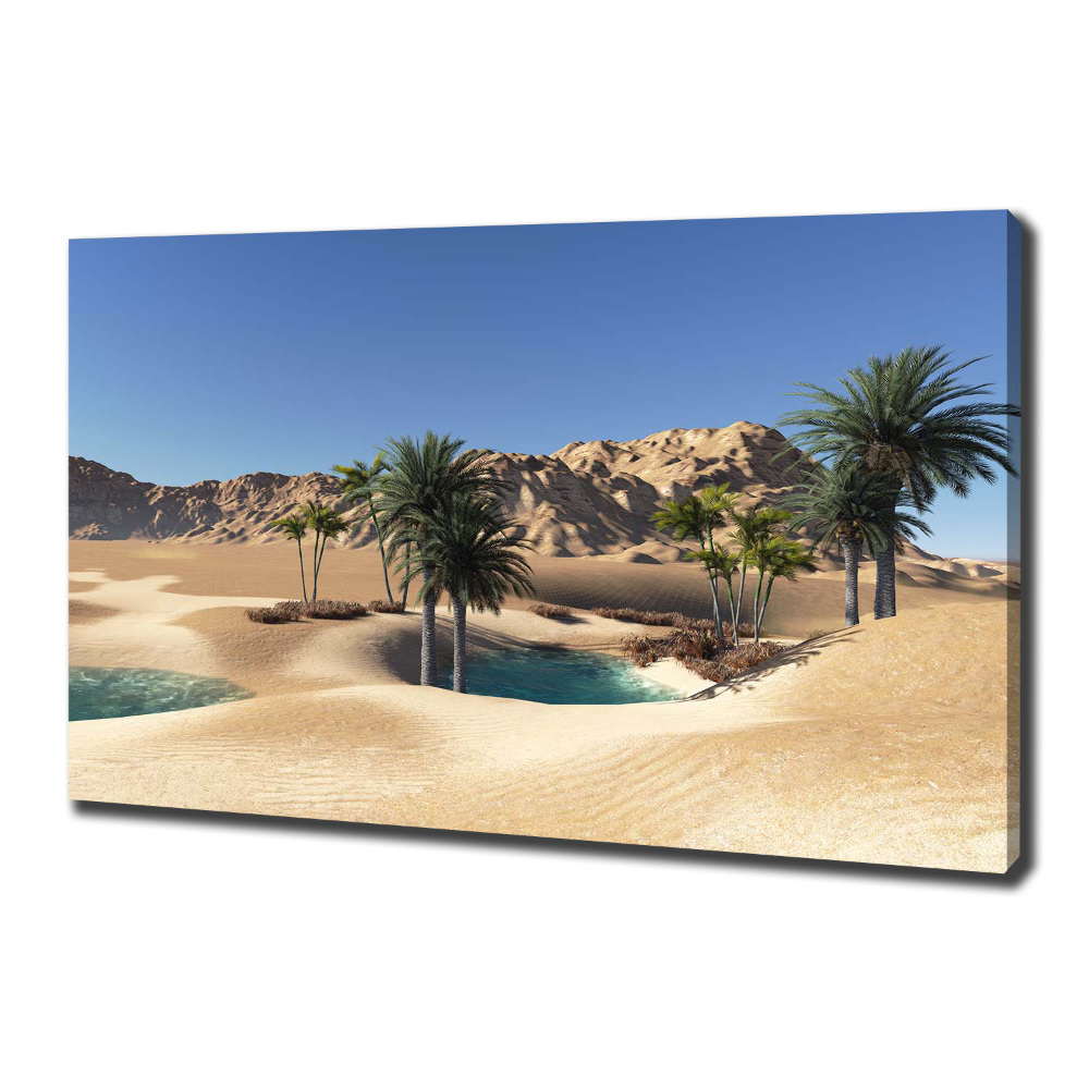 Tableau photo sur toile Oasis