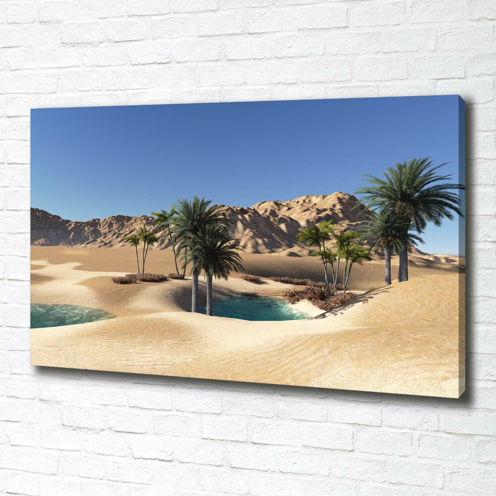 Tableau photo sur toile Oasis