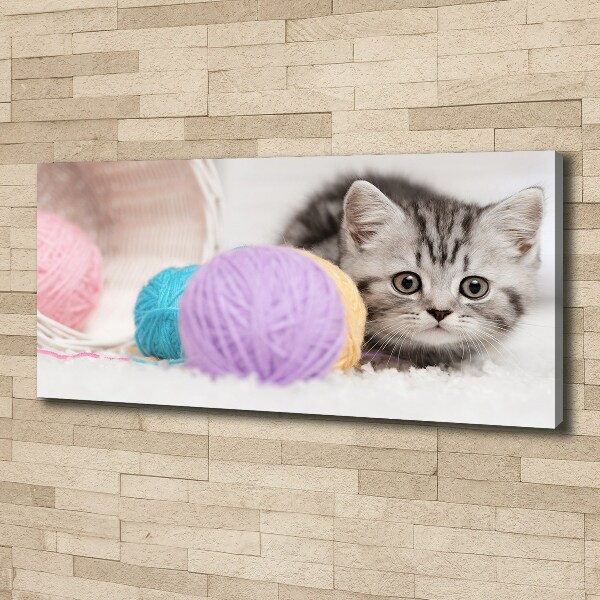 Tableau mural sur toile Chat avec des écheveaux