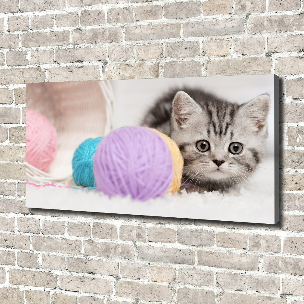 Tableau mural sur toile Chat avec des écheveaux